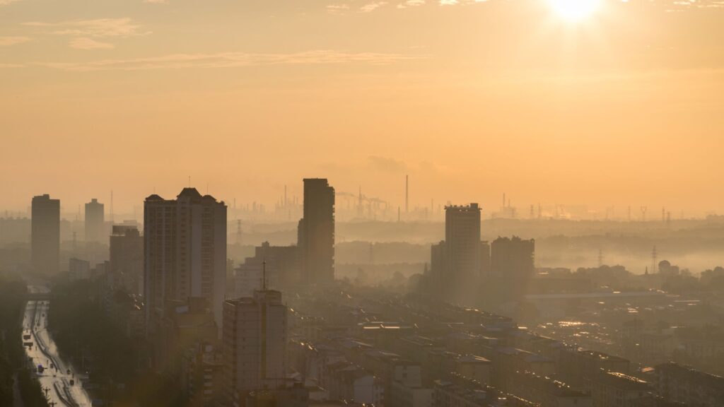 L'inquinamento atmosferico può provocare gravi danni alla pelle.